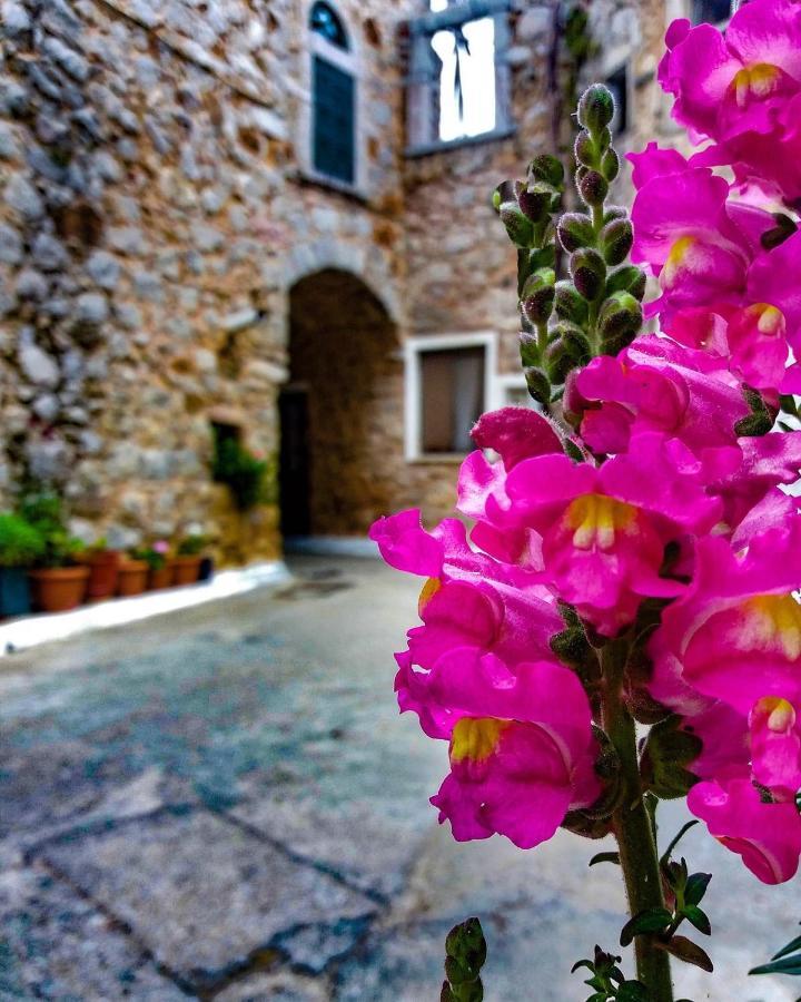 Chios Mantalenas Apartments Véssa Eksteriør billede